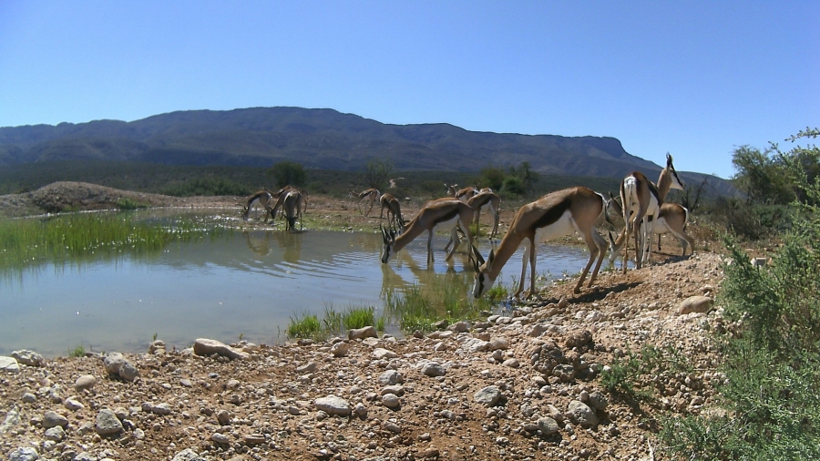 2 Bedroom Property for Sale in Ladismith Rural Western Cape